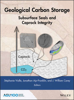 Geological Carbon Storage. Subsurface Seals and Caprock Integrity