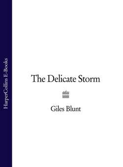 The Delicate Storm