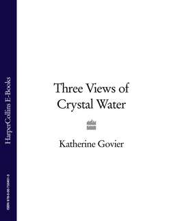Three Views of Crystal Water