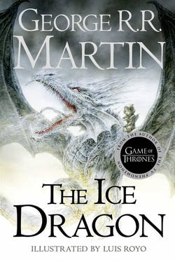 The Ice Dragon