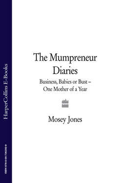 The Mumpreneur Diaries: Business, Babies or Bust - One Mother of a Year