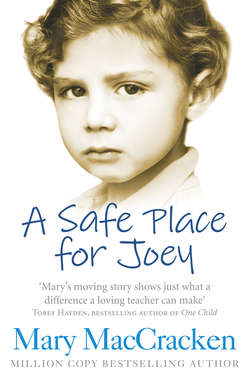 A Safe Place for Joey