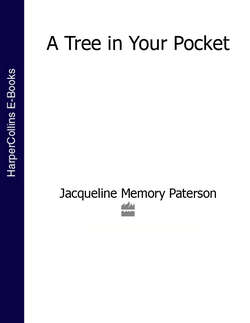 A Tree in Your Pocket