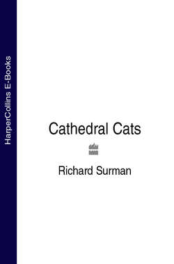 Cathedral Cats