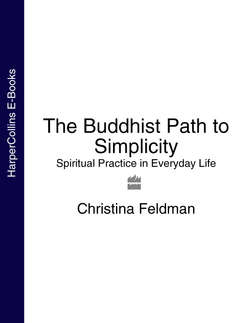 The Buddhist Path to Simplicity: Spiritual Practice in Everyday Life