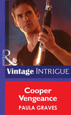 Cooper Vengeance