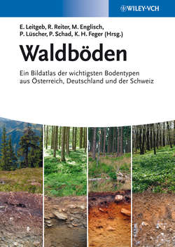 Waldböden. Ein Bildatlas der Wichtigsten Bodentypen aus Österreich, Deutschland und der Schweiz