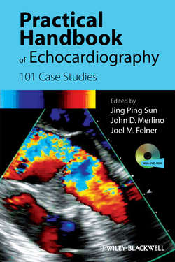 Practical Handbook of Echocardiography. 101 Case Studies