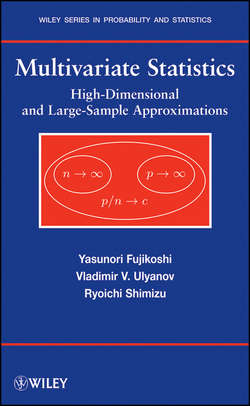 Multivariate Statistics. High-Dimensional and Large-Sample Approximations