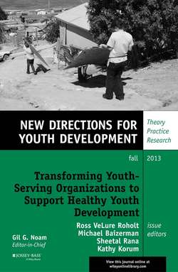 Transforming Youth Serving Organizations to Support Healthy Youth Development. New Directions for Youth Development, Number 139