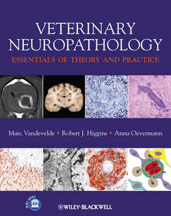 Veterinary Neuropathology. Essentials of Theory and Practice