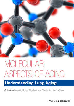 Molecular Aspects of Aging. Understanding Lung Aging