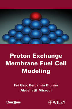 Proton Exchange Membrane Fuel Cells Modeling