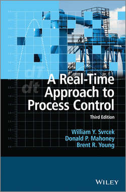 A Real-Time Approach to Process Control