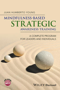 Mindfulness-Based Strategic Awareness Training. A Complete Program for Leaders and Individuals
