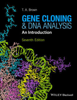 Gene Cloning and DNA Analysis. An Introduction