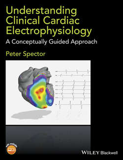 Understanding Cardiac Electrophysiology. A Conceptually Guided Approach