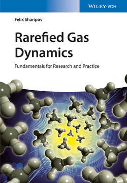 Rarefied Gas Dynamics. Fundamentals for Research and Practice