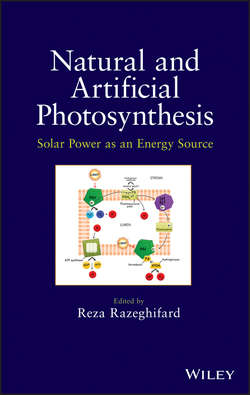 Natural and Artificial Photosynthesis. Solar Power as an Energy Source