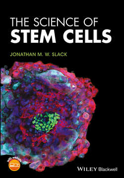 The Science of Stem Cells