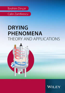 Drying Phenomena. Theory and Applications