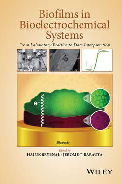 Biofilms in Bioelectrochemical Systems. From Laboratory Practice to Data Interpretation