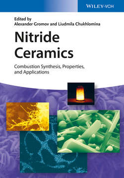 Nitride Ceramics. Combustion Synthesis, Properties and Applications