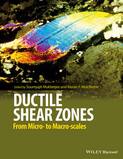 Ductile Shear Zones. From Micro- to Macro-scales