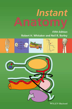 Instant Anatomy