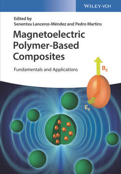 Magnetoelectric Polymer-Based Composites. Fundamentals and Applications