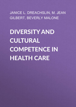 Diversity and Cultural Competence in Health Care. A Systems Approach