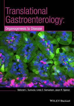 Translational Research and Discovery in Gastroenterology. Organogenesis to Disease