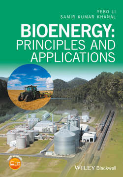 Bioenergy. Principles and Applications