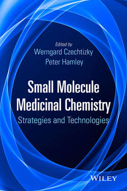 Small Molecule Medicinal Chemistry. Strategies and Technologies