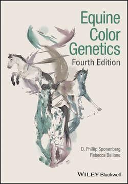 Equine Color Genetics