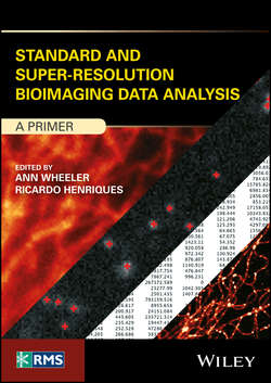 Standard and Super-Resolution Bioimaging Data Analysis. A Primer