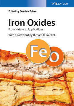 Iron Oxides. From Nature to Applications