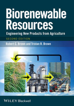Biorenewable Resources. Engineering New Products from Agriculture