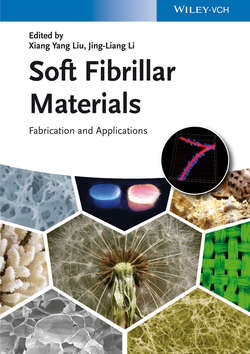 Soft Fibrillar Materials. Fabrication and Applications