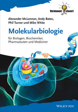 Molekularbiologie. für Biologen, Biochemiker, Pharmazeuten und Mediziner