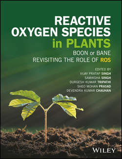 Reactive Oxygen Species in Plants. Boon Or Bane - Revisiting the Role of ROS