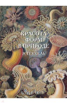 Красота форм в природе. Э. Геккель