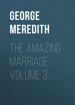 The Amazing Marriage. Volume 3