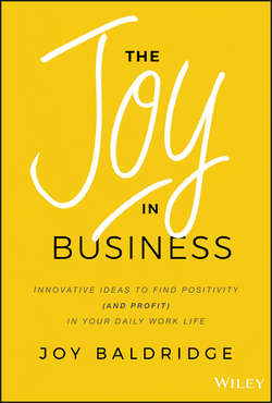 The Joy in Business. Innovative Ideas to Find Positivity (and Profit) in Your Daily Work Life