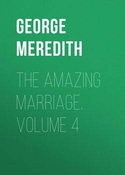 The Amazing Marriage. Volume 4