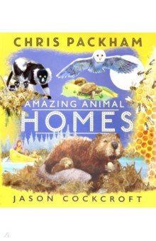 Amazing Animal Homes  (PB)