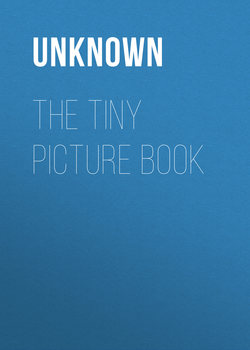 The Tiny Picture Book