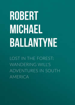 Lost in the Forest: Wandering Will's Adventures in South America