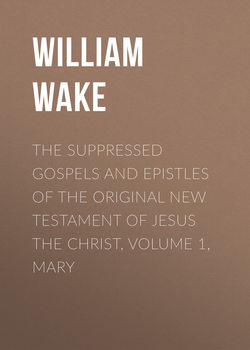 The suppressed Gospels and Epistles of the original New Testament of Jesus the Christ, Volume 1, Mary