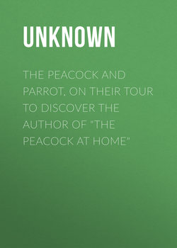 The Peacock and Parrot, on their Tour to Discover the Author of "The Peacock At Home"